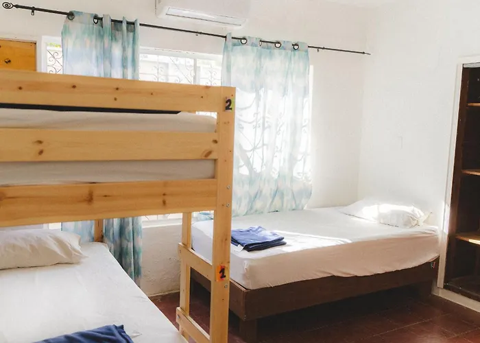 Desert Heart * San José del Cabo